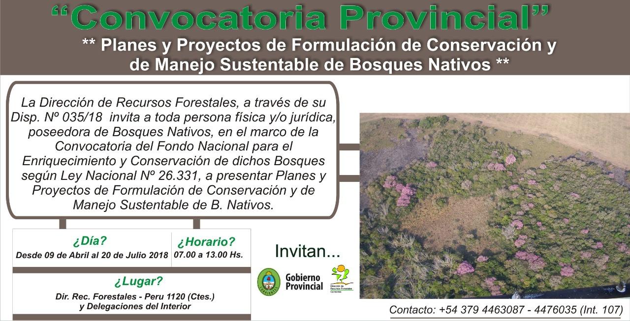 Bosques Nativos 