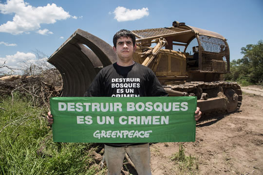 Greenpeace - cuchuy_cuerpo