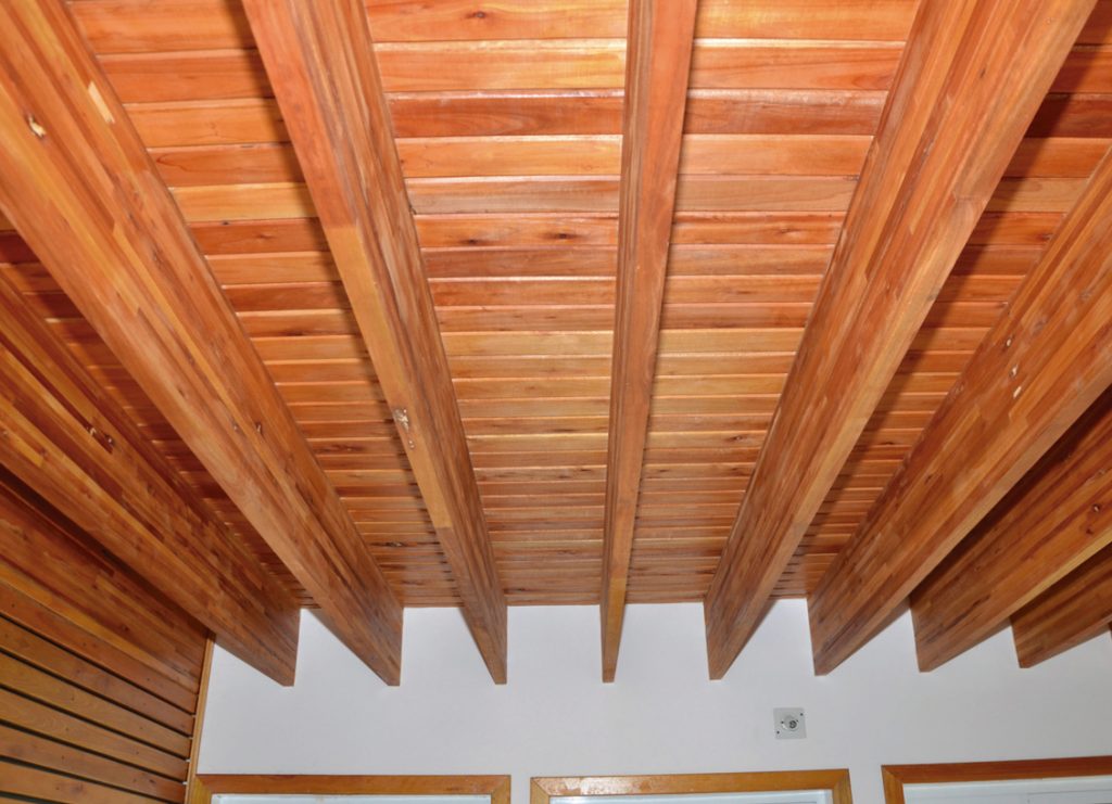 vivienda de madera-imfer-techo