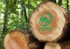 Semana de la Certificación Forestal PEFC