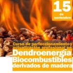 curso-de-dendroenergía biocombustibles