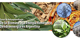 cursos biomasa energia renovable