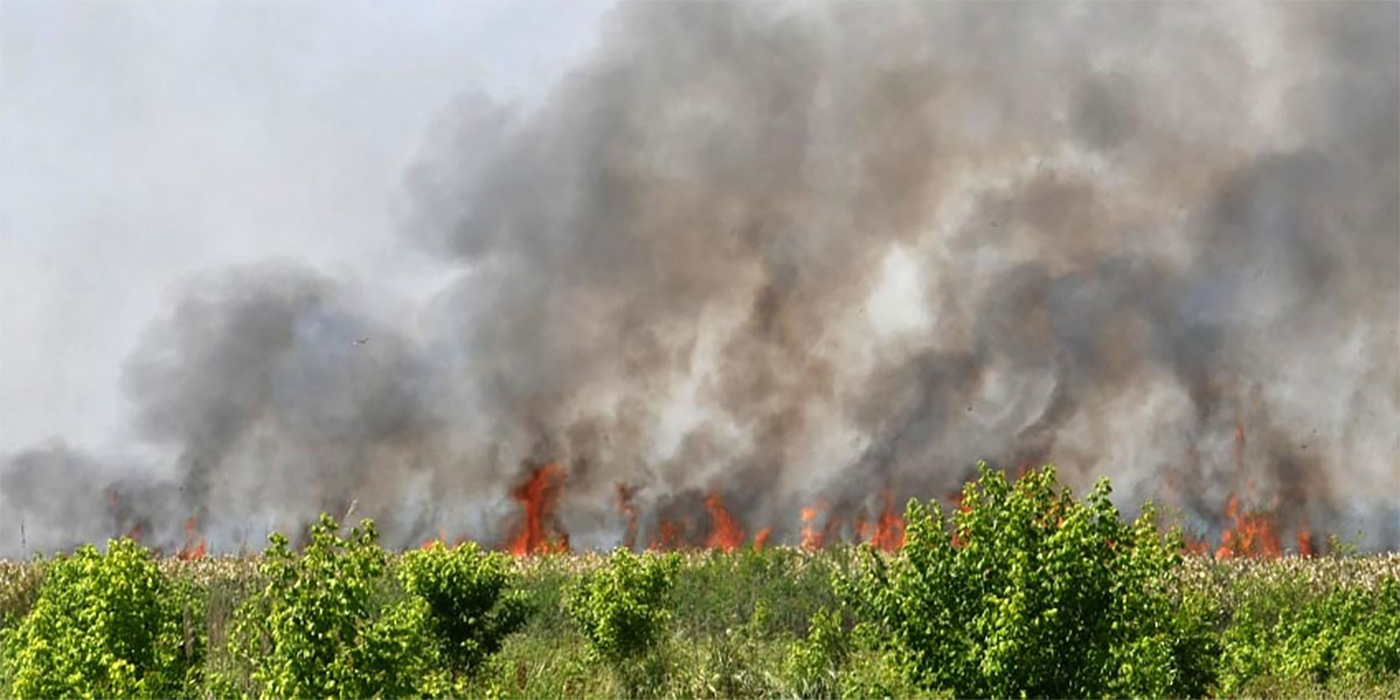 incendios en 11 provincias