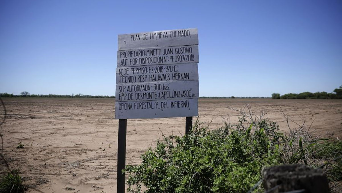 Deforestaron en Región Chaqueña