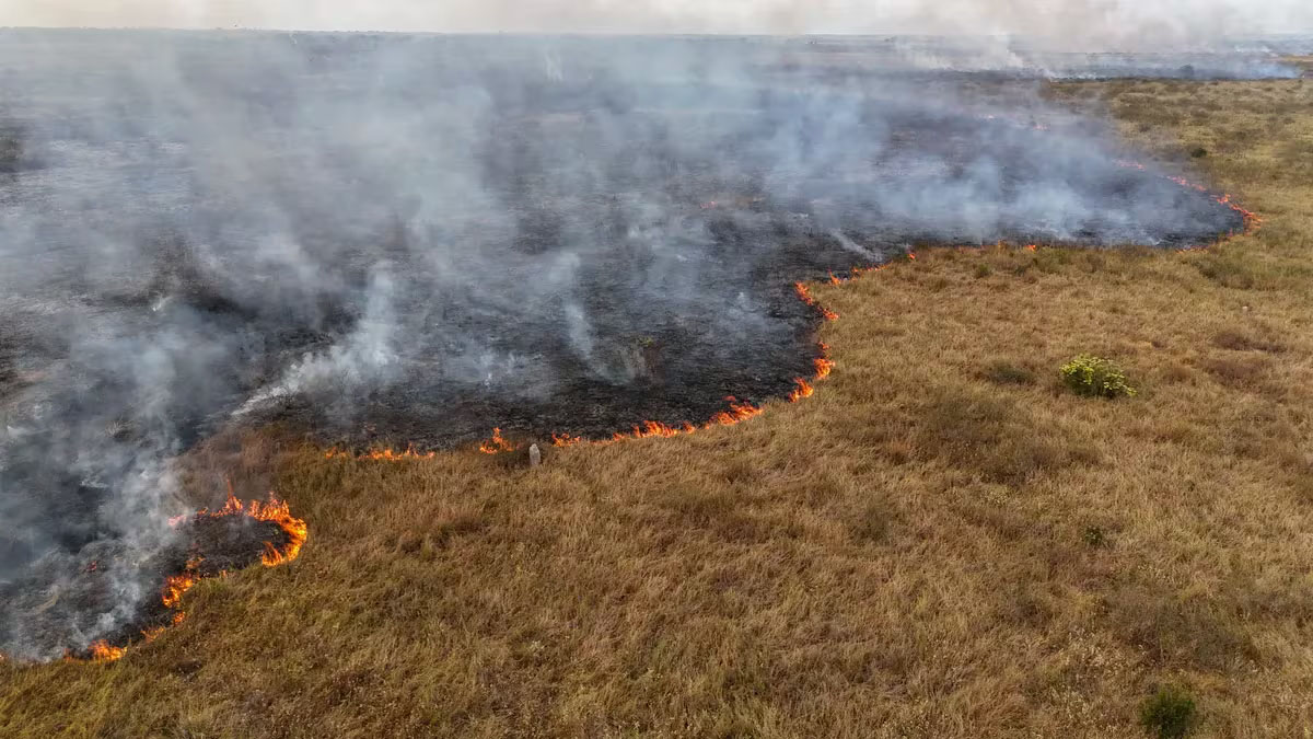 Arde el Pantanal brasileño