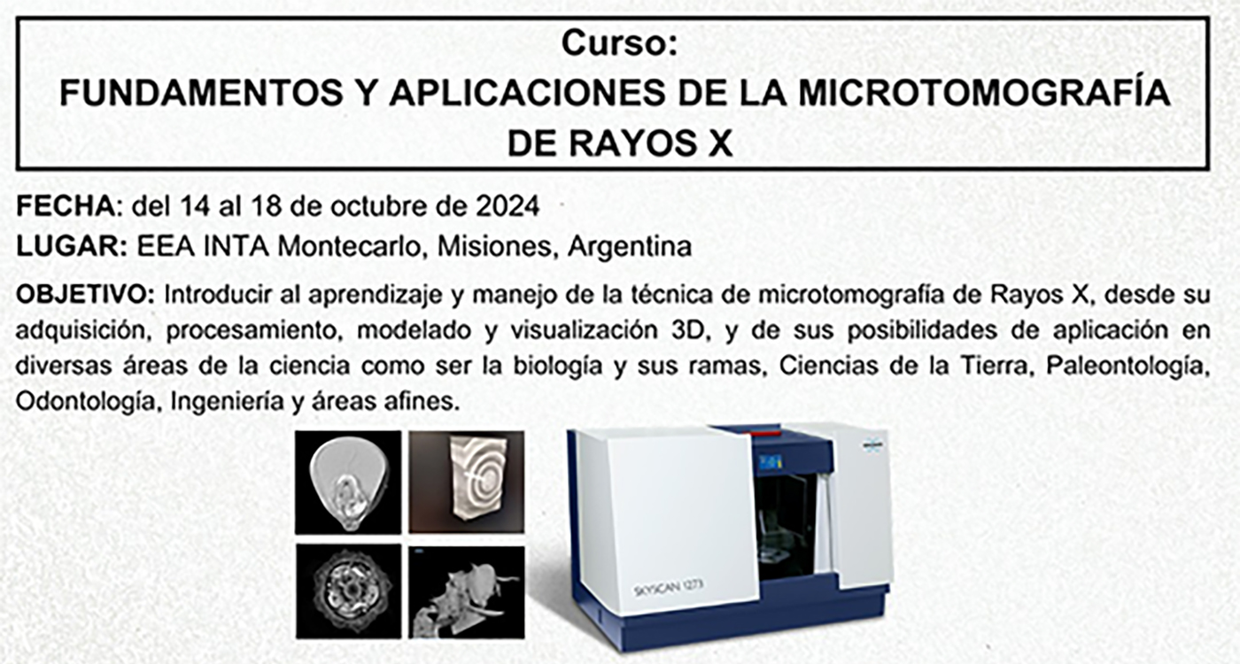 Microtomografía de rayos x