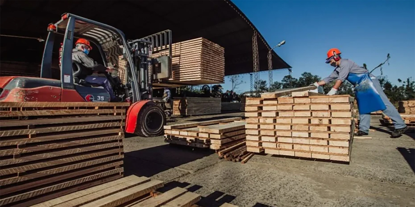 AMAYADAP exportando a pérdida