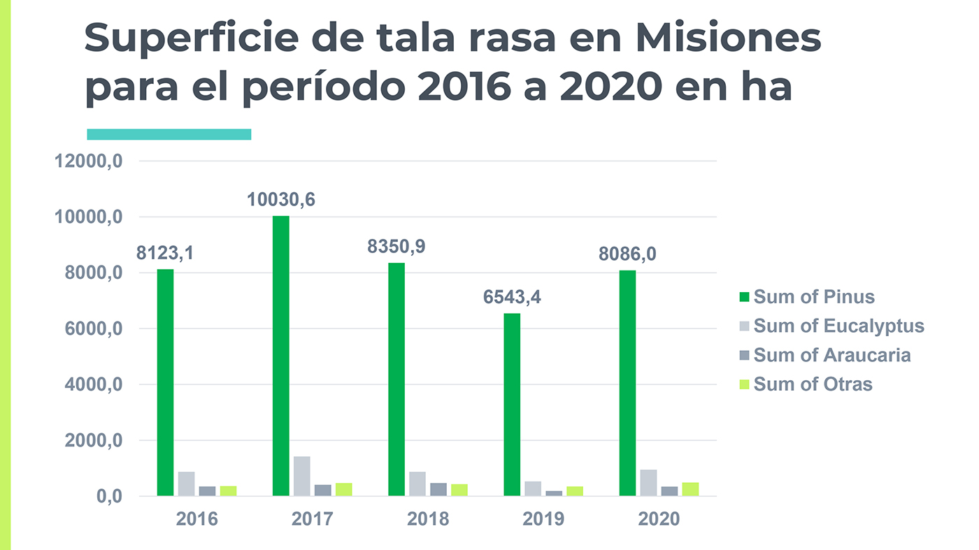 Censo Forestal Misiones