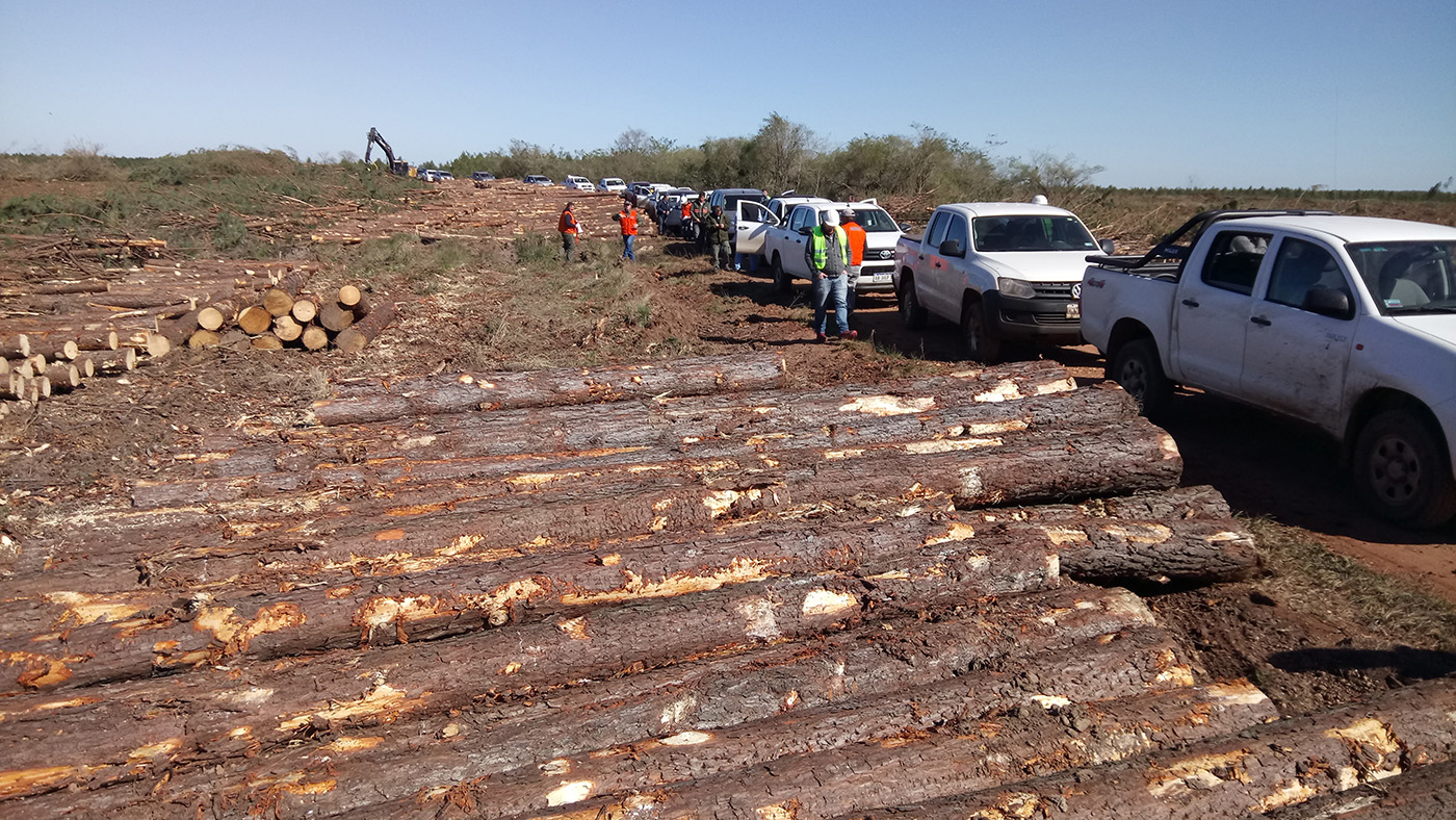 Central Puerto La logística