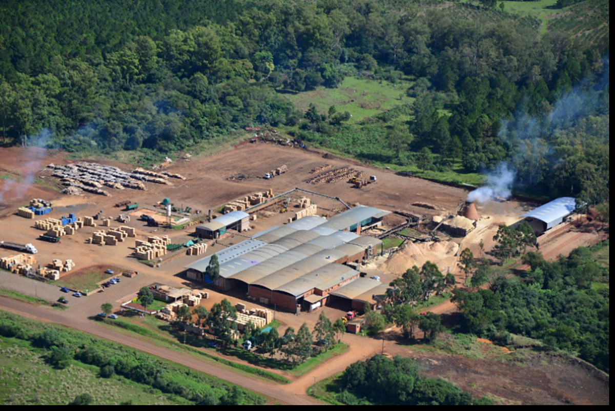 aserraderos quebrar en Misiones y Corrientes