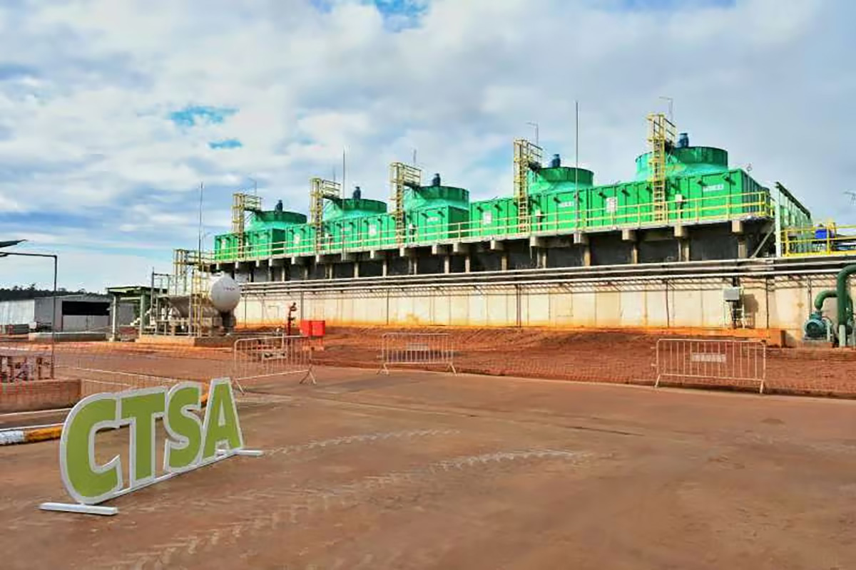 Electricidad verde biomasa forestal