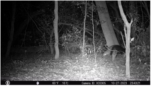 Corrientes biodiversidad y ambiente