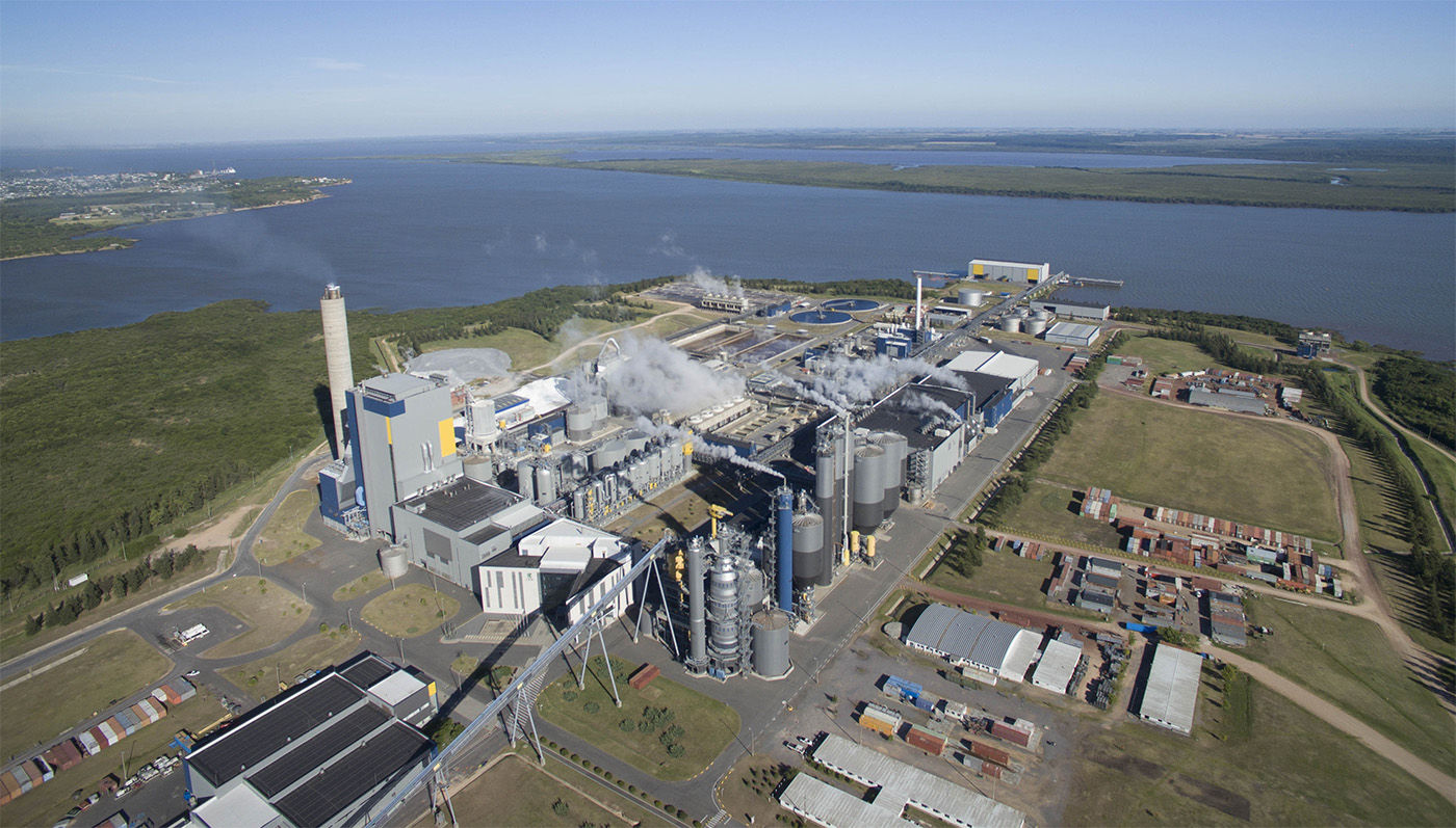 Argentina potencia forestal