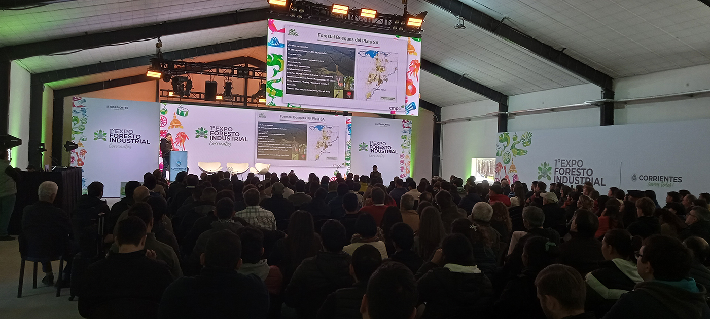 Trabajo público privado