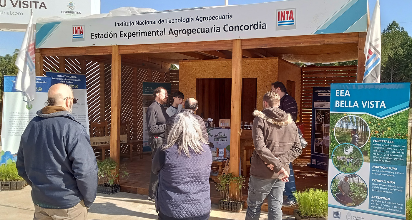 ATE amparo desguace de INTA