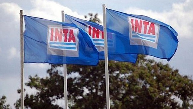 ATE amparo desguace de INTA