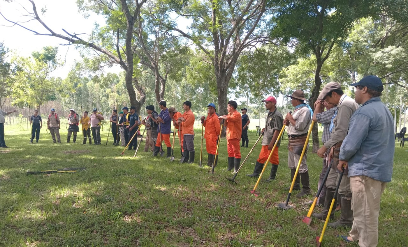 forestadores correntinos con precios bajos