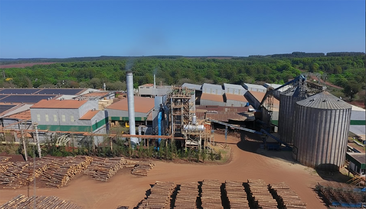 Pindó emitió bonos verdes