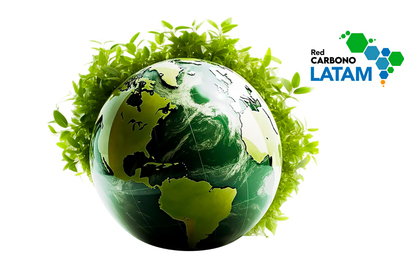 Red Carbono LATAM