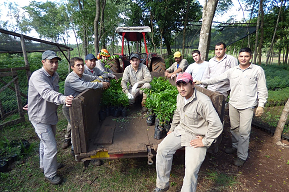 certificación PEFC de bosques nativos