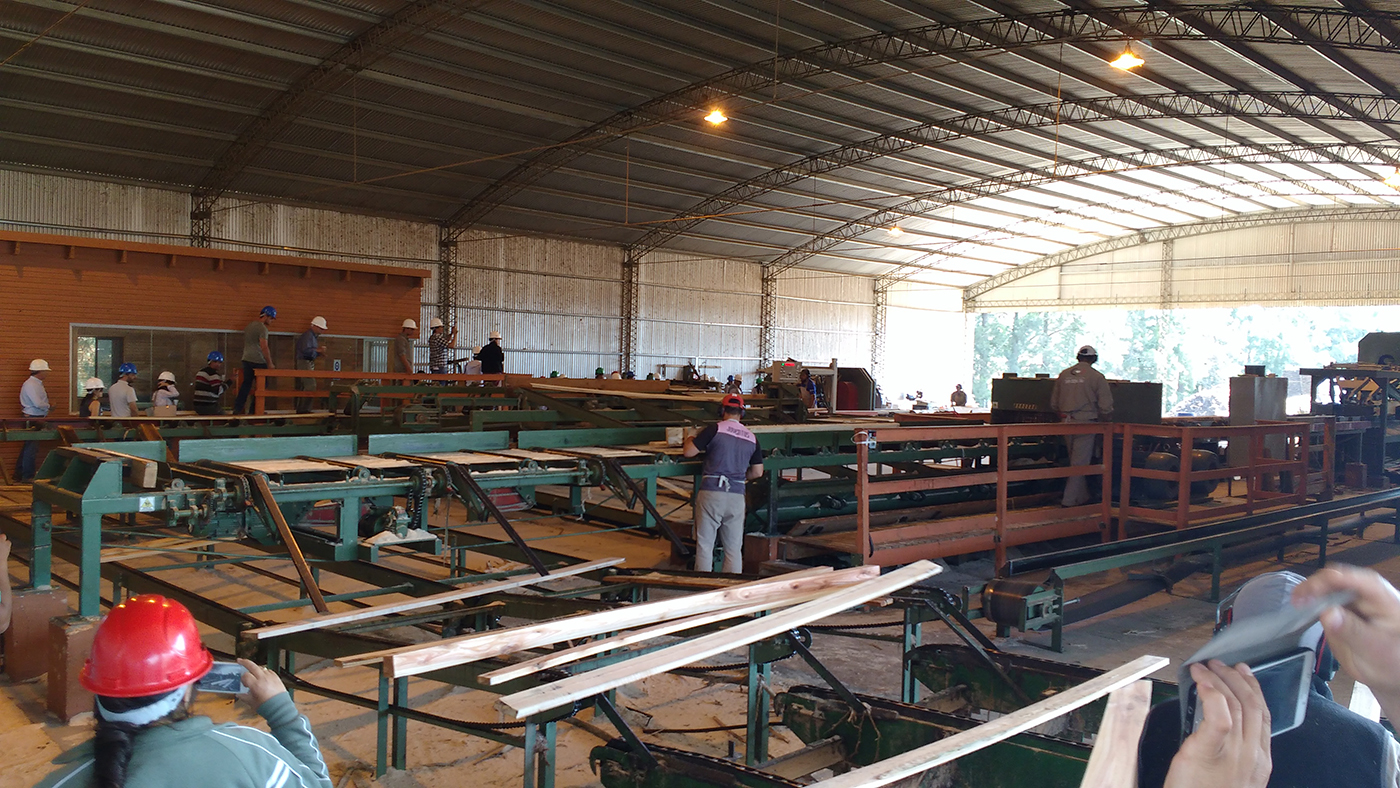 Jornadas Forestales de Entre Ríos