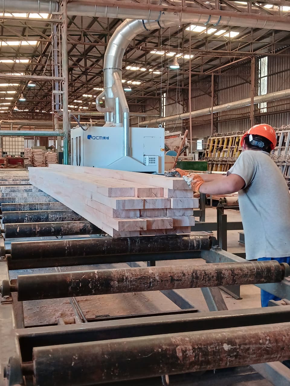 Fracalossi nueva línea de aserrado