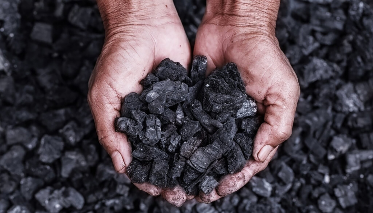 Biochar: cómo es la innovación forestal que ayuda a capturar carbono Biochar forestal capturar carbono