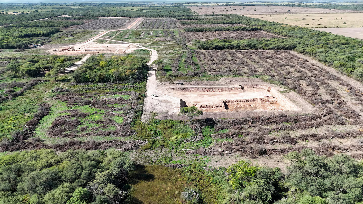Santa Fe: clausuraron una algodonera que deforestó bosques protegidos sin permisos Santa Fe deforestó bosques protegidos