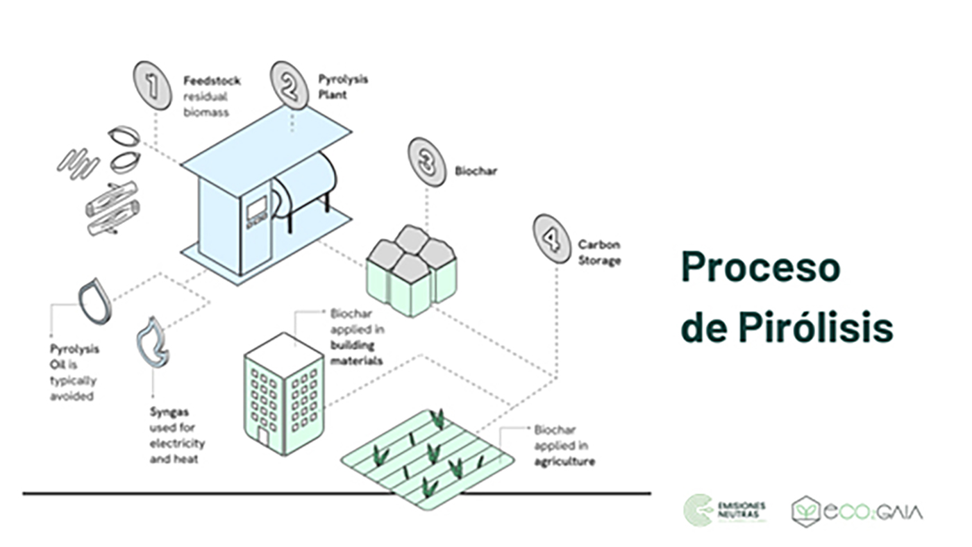 Biochar y la producción forestal