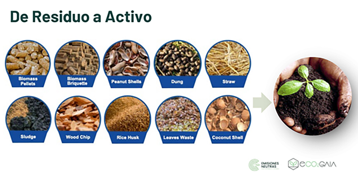 Biochar y la producción forestal