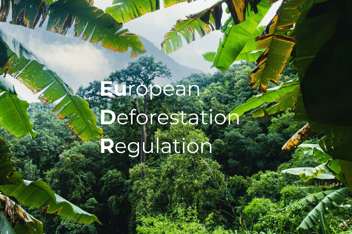 Deforestación de la Unión Europea