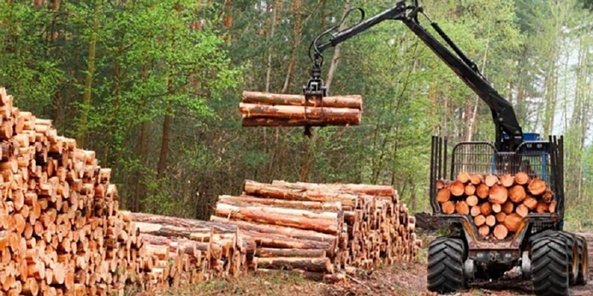 forestoindustria tiene la peor rentabilidad