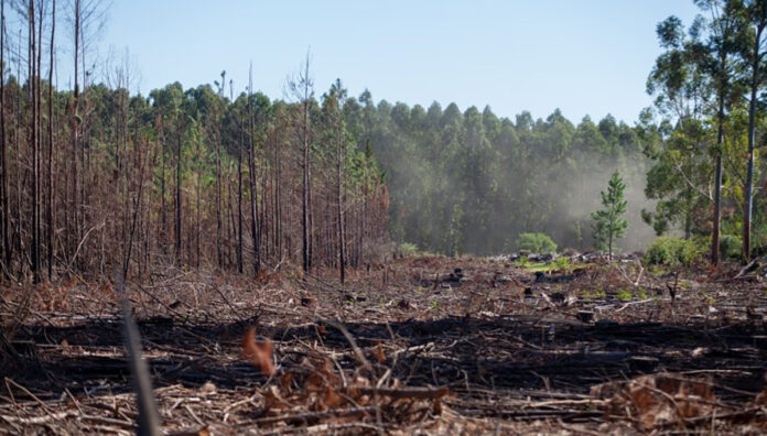 Uruguay El cambio climático