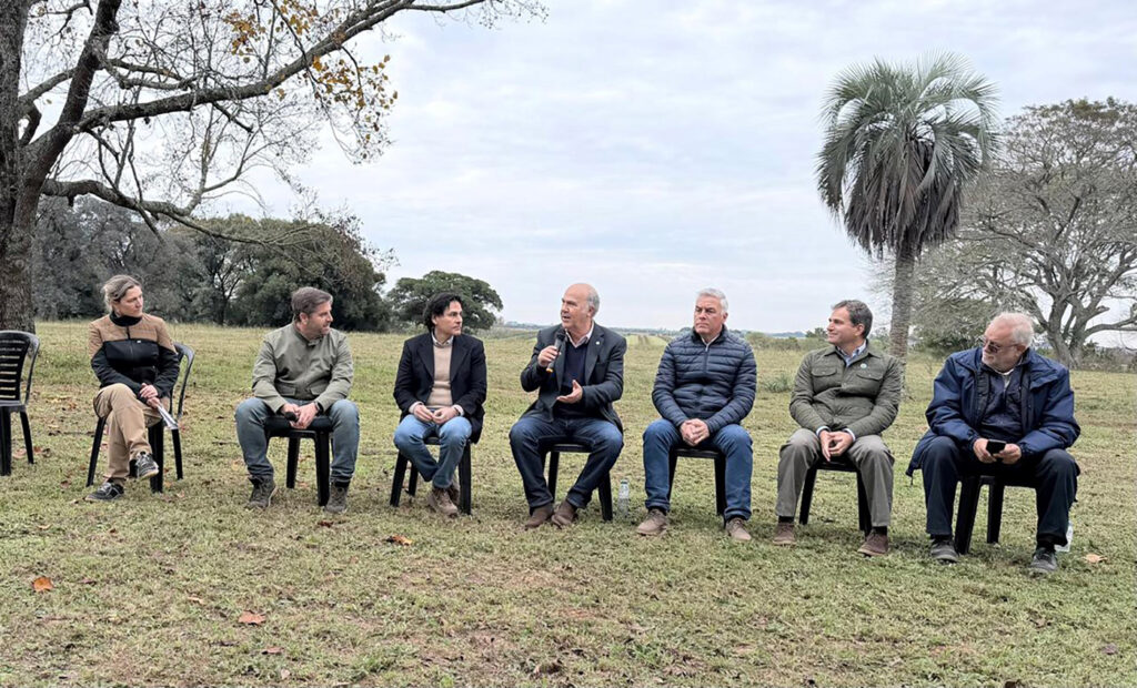 Sistemas silvopastoriles en Corrientes