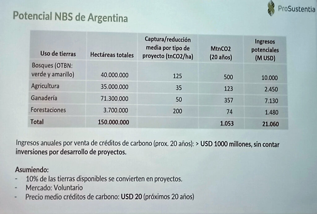 Mercado de carbono búsqueda ley