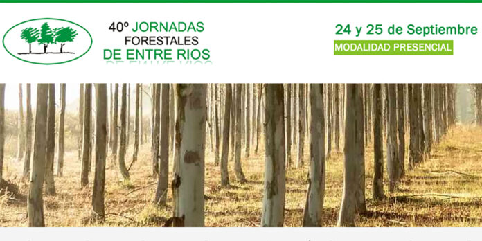 jueves y viernes jornadas