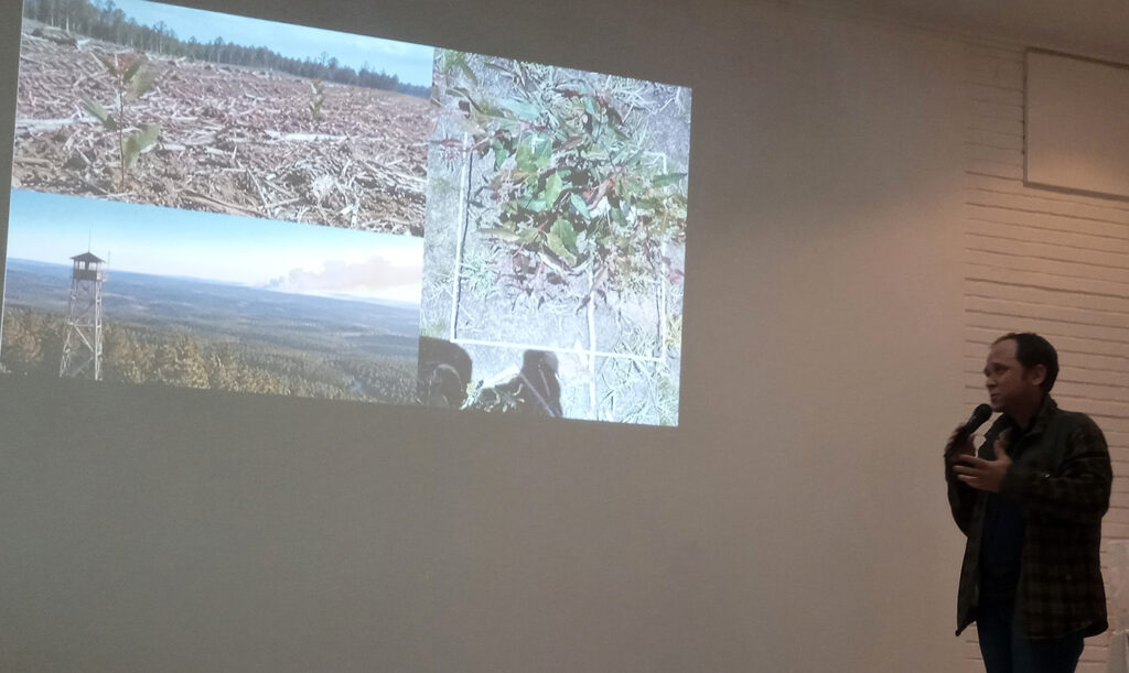 Inteligencia artificial y sector forestal