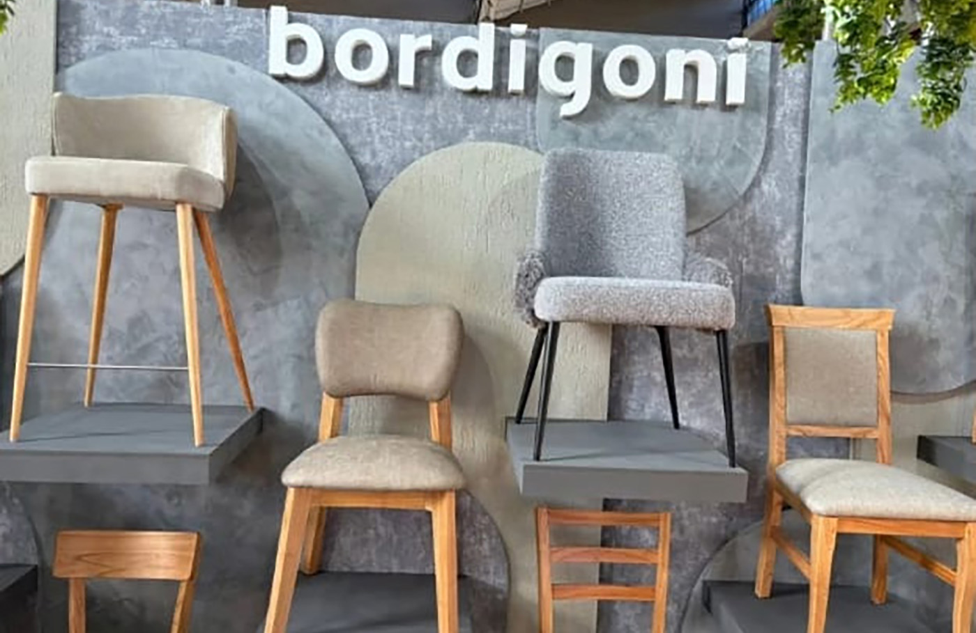 Arn diseño no gasto