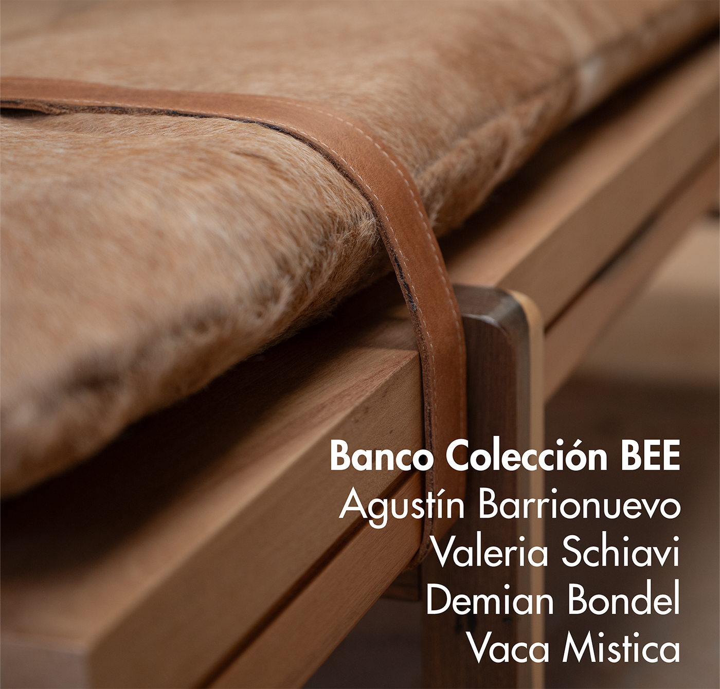 Salón del Mueble Argentino