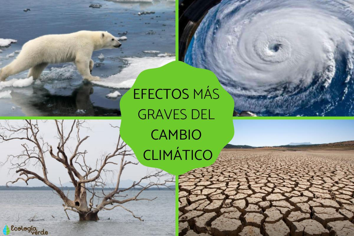 ONU y cambio climático