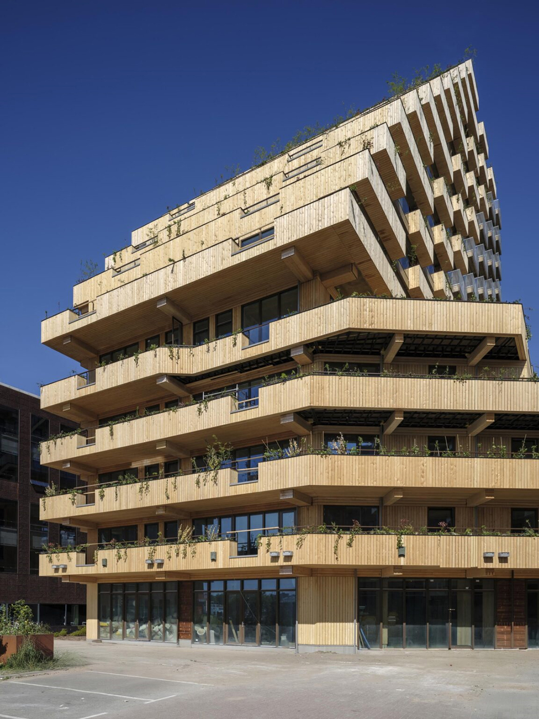 edificio de madera arquitectura sostenible