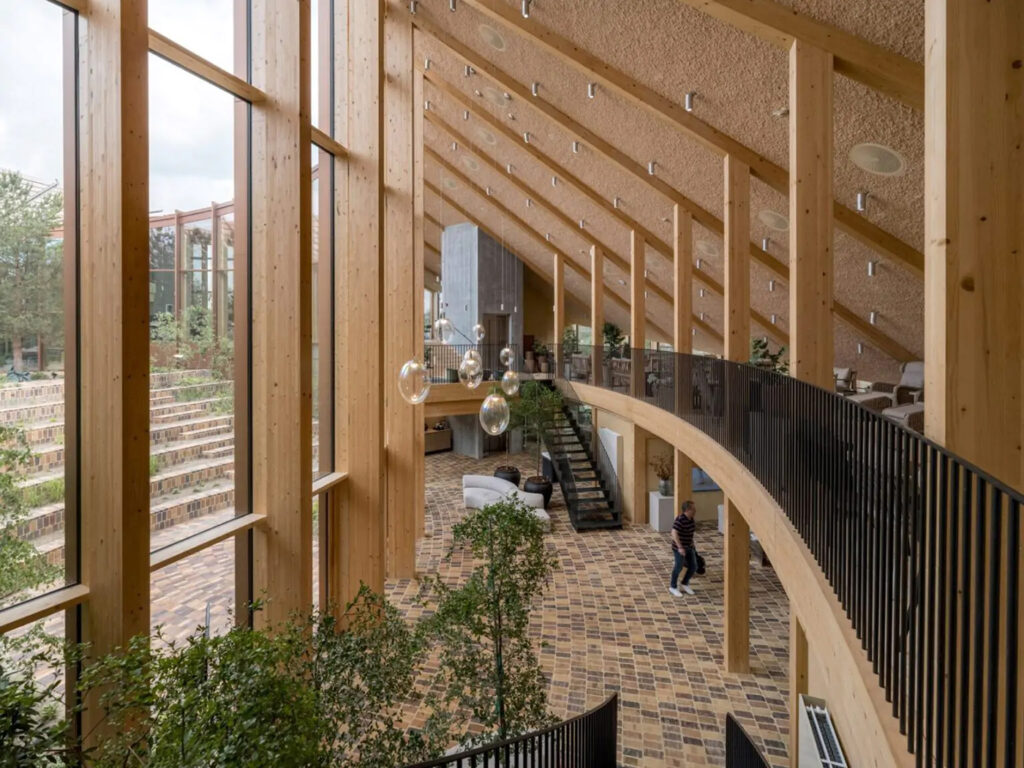 Dymak estructura de madera