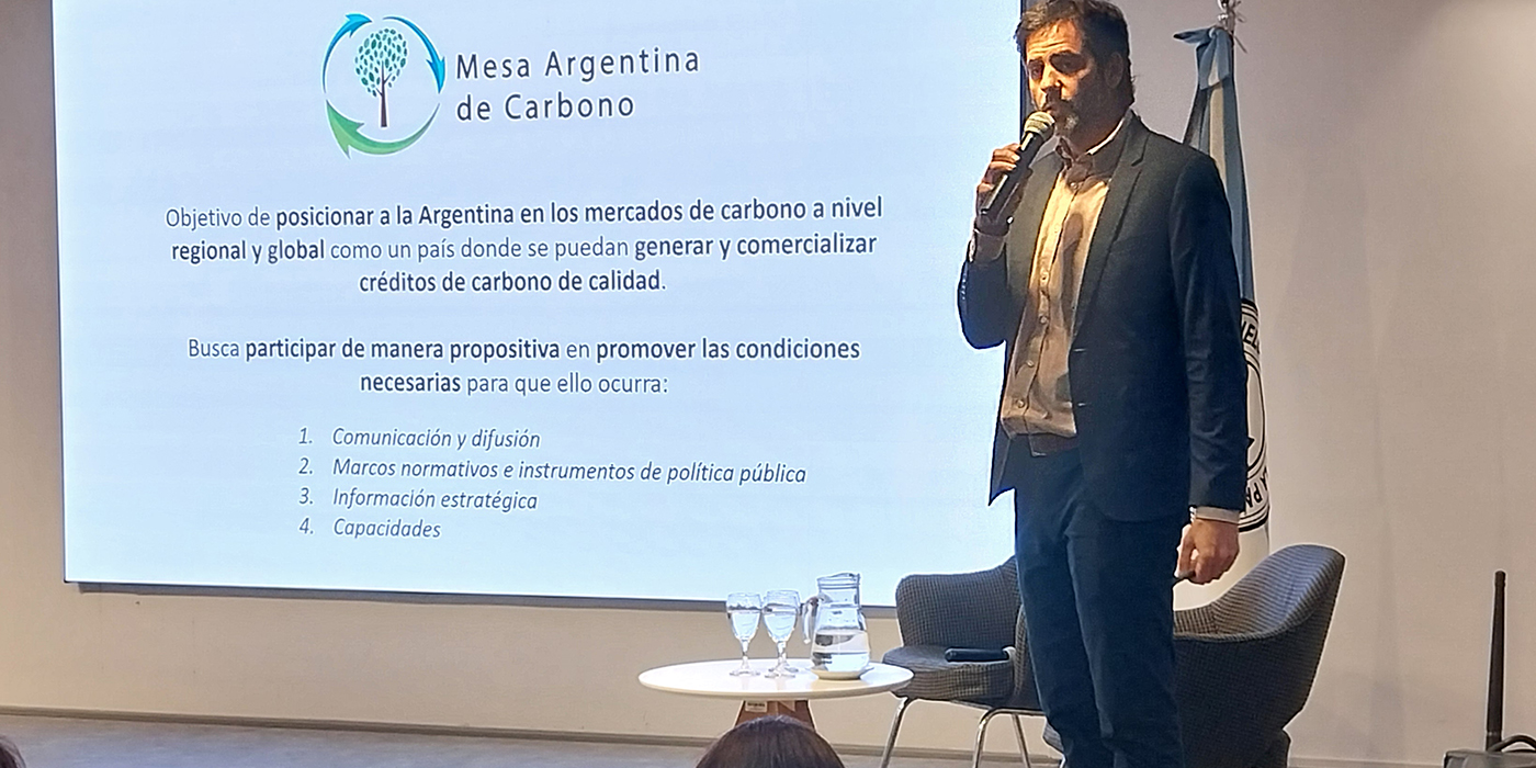 Mesa argentina de carbono