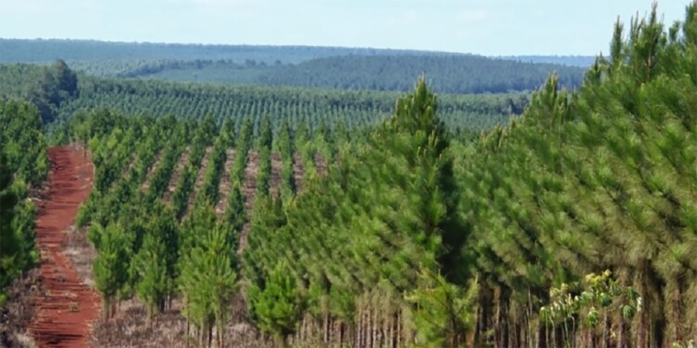 Productor primario de misiones